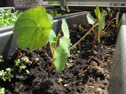 20110504 134418